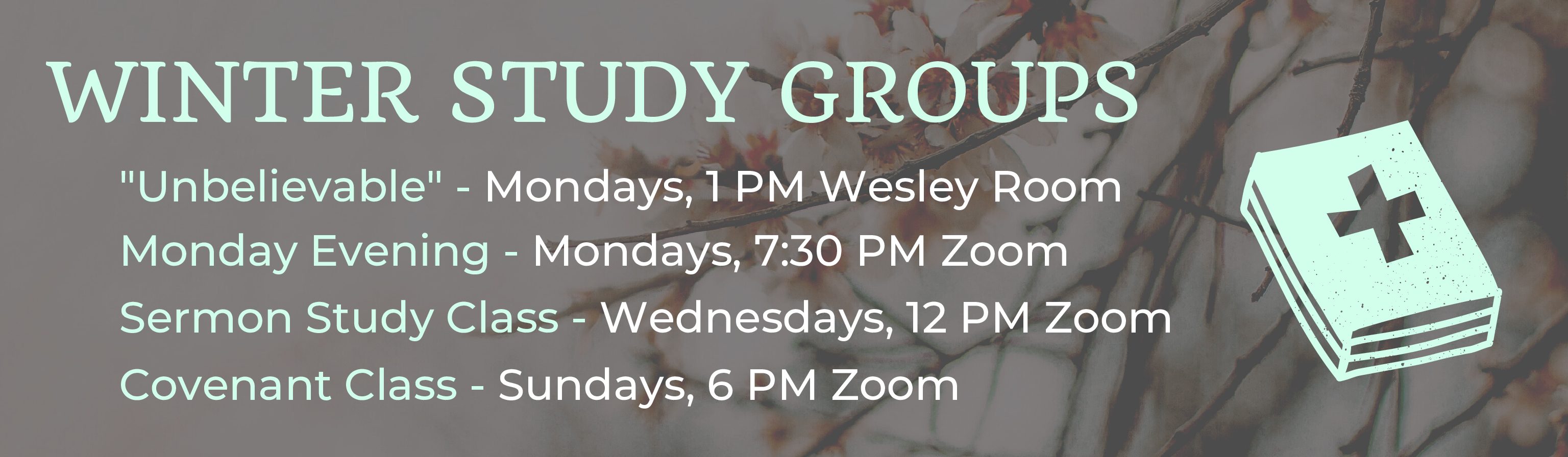 Winter Study Groups Banner