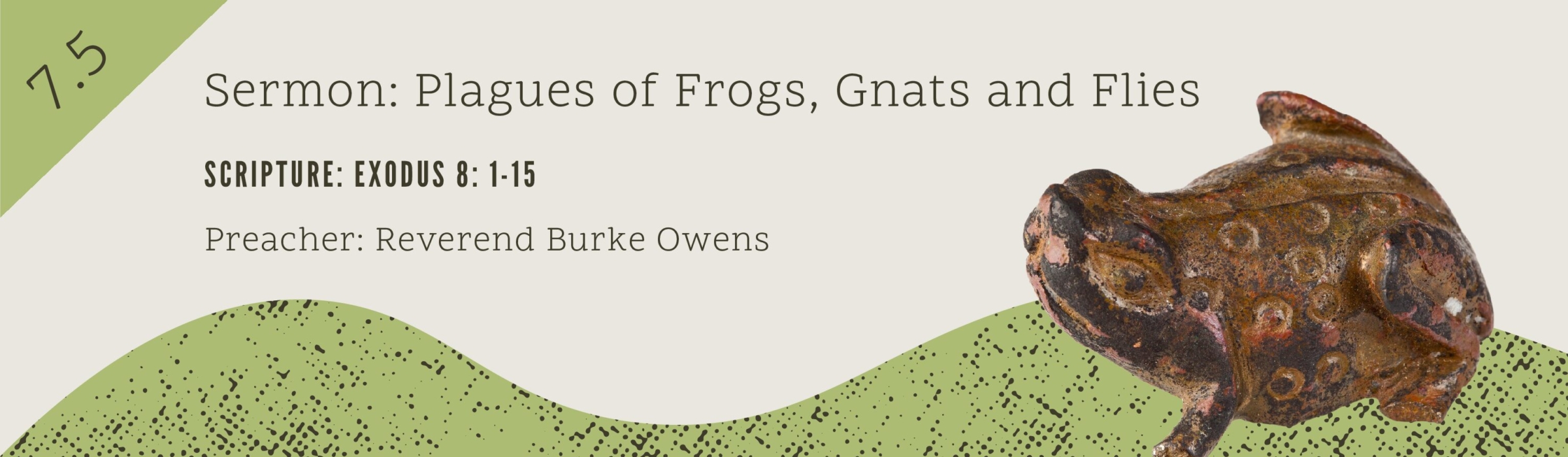 july 2026 evergreen web banner